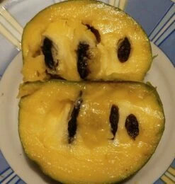 Veredelte Indianerbanane (Paw Paw) `Shenandoah®´ Asimina Triloba `Shenandoah´ -Geschäft Für Pflanzensamen Und Düngemittel Indianerbanane von Innen5a0476156796c