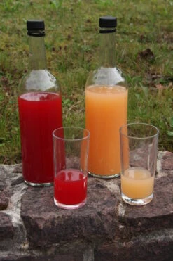 Rosette® Malus Domestica -Geschäft Für Pflanzensamen Und Düngemittel Rosette Saft