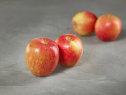 Geschäft Für Pflanzensamen Und Düngemittel -Geschäft Für Pflanzensamen Und Düngemittel apfel rewena g