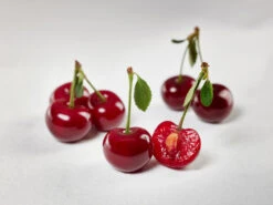 Safir ® Prunus Cerasus `Safir´ 11 Safir ® Prunus Cerasus `Safir´ -Geschäft Für Pflanzensamen Und Düngemittel sauerkirsche safir glCz99JjQsQ3RC